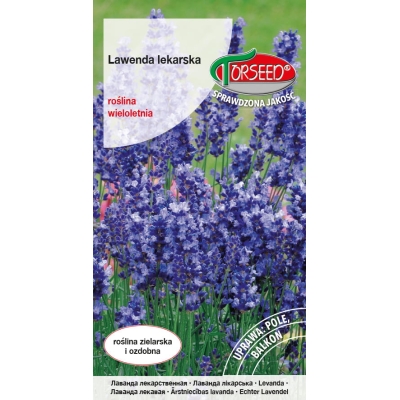 LAWENDA LEKARSKA wąskolistna nasiona