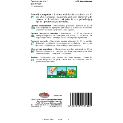 Oregano Lebiodka Świeże Zioła Przyprawa nasiona