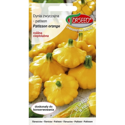 Patison Orange Dynia jak dysk Nasiona