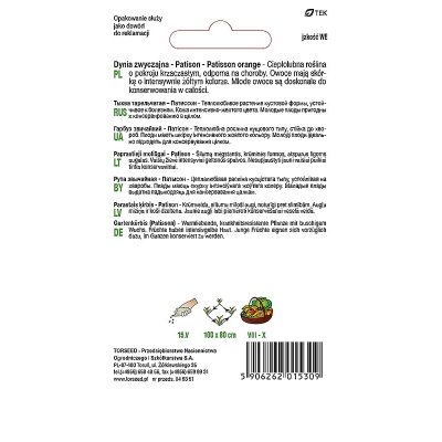 Patison Orange Dynia jak dysk Nasiona