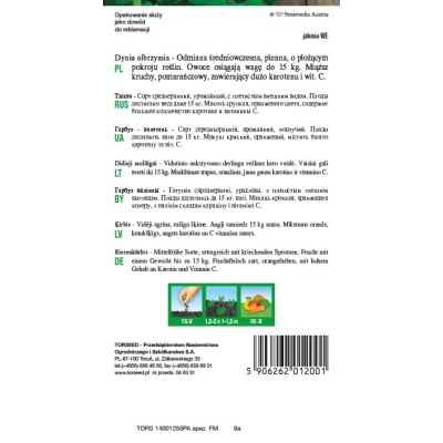 DYNIA olbrzymia Bambino nasiona