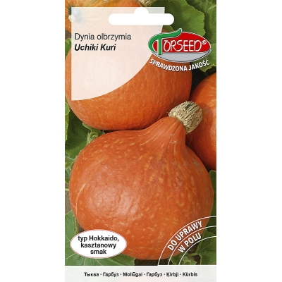 Dynia HOKKAIDO UCHIKI KURI Nasiona