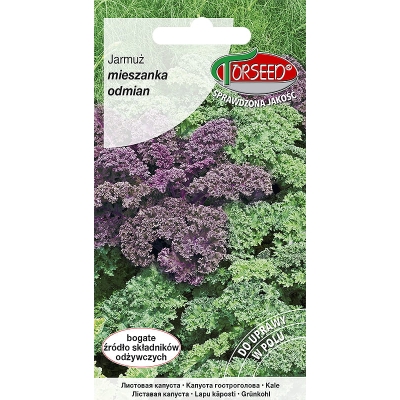 Jarmuż nasiona warzyw zdrowy mix odmian