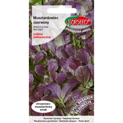 MUSZTARDOWIEC CZERWONY kapusta sitowata nasiona