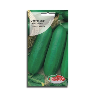 OGÓREK POD OSŁONY IWA WCZESNY