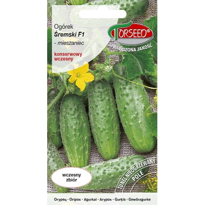 Ogórek śremski Gruntowy wczesny odporny nasiona