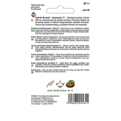 Ogórek śremski Gruntowy wczesny odporny nasiona