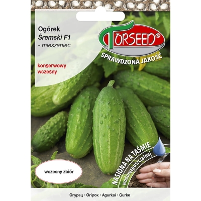 Ogórek Śremski F1 Wczesny Nasiona Taśma 5m Odporny