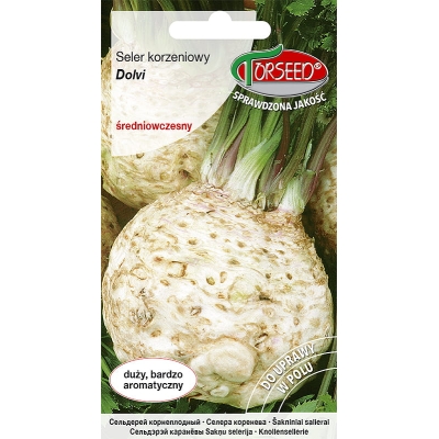 Seler korzeniowy Dolvi odmiana średniowczesna