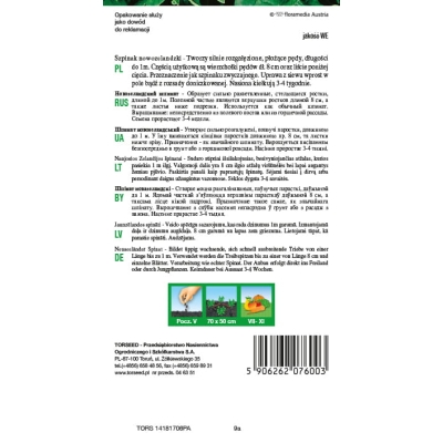 Szpinak Nowozelandzki nasiona szpinaku