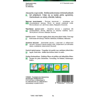 Aksamitka rozpierzchła niska mix