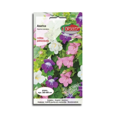 Asarina Najpiękniejsze Pnącze Na Taras I Pergole