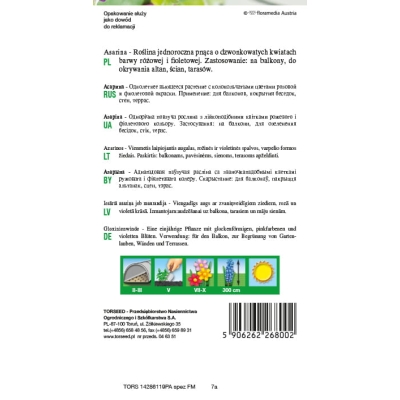 Asarina Najpiękniejsze Pnącze Na Taras I Pergole