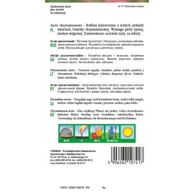 Aster Chryzantemowy Mieszanka nasiona