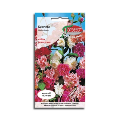Klarkia Dzierotka mieszanka nasiona kwiatów