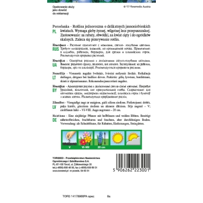 Porcelanka niebieska Nasiona Kwiatów