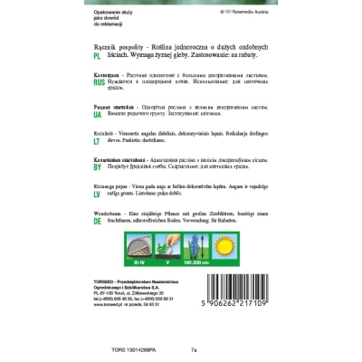 Rącznik czerwonolistny-PIEKNE LIŚCIE Nasiona