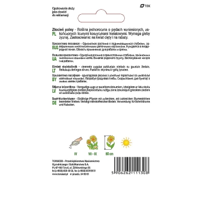 Złocień polny żółty na kwiat rabaty nasiona