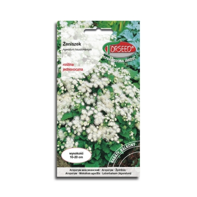 Żeniszek meksykański niski biały