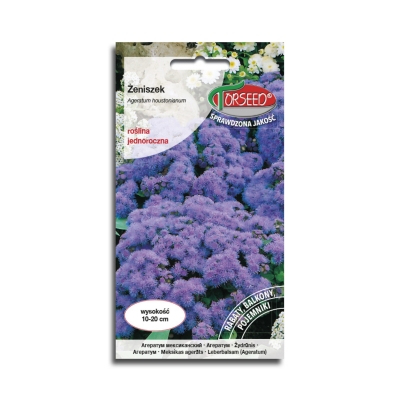 ŻENISZEK MEKSYKAŃSKI fioletowy nasiona