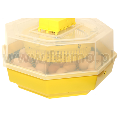 iBator Home 60 z tacą półautomatyczną dla przepiórek