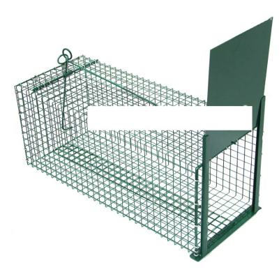 Żywołapka, pułapka jednowejściowa z hakiem na kuny, łasice, tchórze