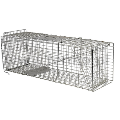 Pułapka, żywołapka, klatka na lisy, lisa