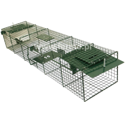 Pułapka, żywołapka na łasicę, tchórza, kunę duże wejście