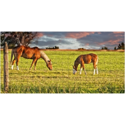 Siatka leśna ocynkowana 125/13/15 MEDIUM