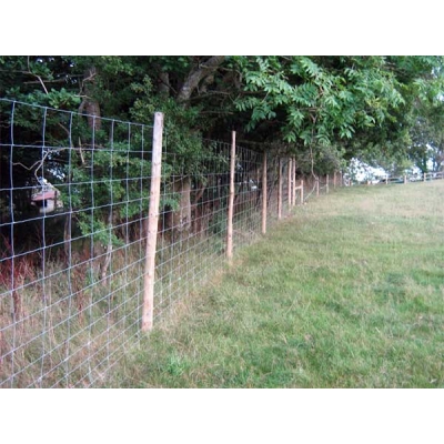 Siatka leśna ocynkowana 160/15/15 MEDIUM