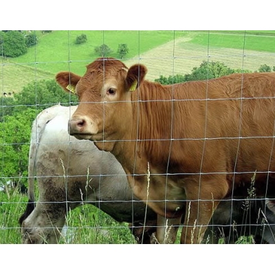 Siatka leśna ocynkowana na jelenie, sarny