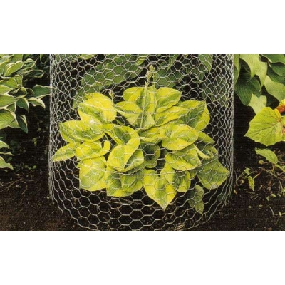 Siatka z oczkiem sześciokątnym 16mm podwójnie ocynkowana