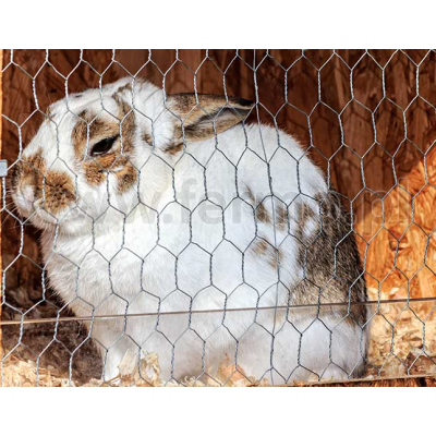 Siatka z oczkiem sześciokątnym 16mm podwójnie ocynkowana