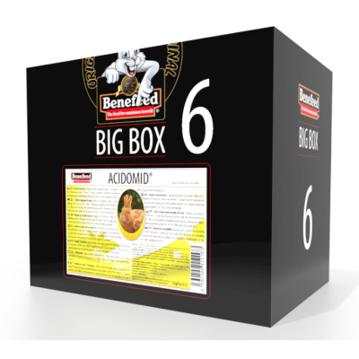 ACIDOMID Królik 6 Litrów BOX