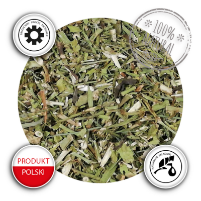 Lubczyk Suszony Łodyga 1 kg