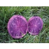 Świeże ziemniaki fioletowe 10kg - Polska