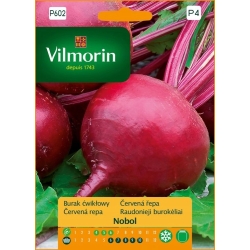 BURAK ĆWIKŁOWY OKRĄGŁY WCZESNY NOBOL VILMORIN NASIONA