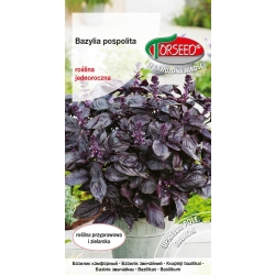 Bazylia czerwona nasiona – aromatyczne zioło
