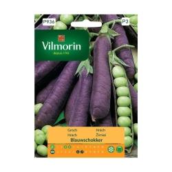 GROCH ciemnofioletowy Blauwschokker 20g nasiona VILMORIN