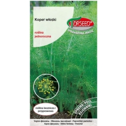 Koper włoski nasiona – fenkuł warzywny nasiona