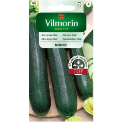 Nasiona Warzyw Dynia Zwyczajna Cukinia Nefertiti Vilmorin