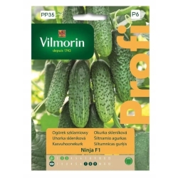 Ogórek Ninja F1 – nasiona ogórka szklarniowego