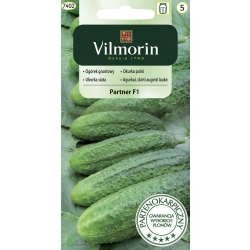 Ogórek Partner - ODMIANA SAMOPYLNA Nasiona