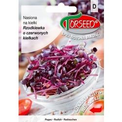 RZODKIEWKA nasiona na kiełki czerwone kiełki wzmacnia odporność