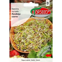Rzodkiew czarna, nasiona na kiełki 10g Torseed