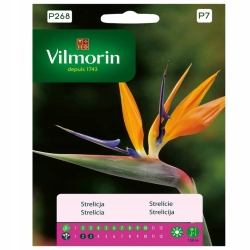 Strelicja królewska 10 nasion RAJSKI PTAK Vlimorin