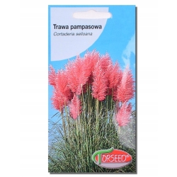 Trawa pampasowa różowa nasiona – Cortaderia selloana