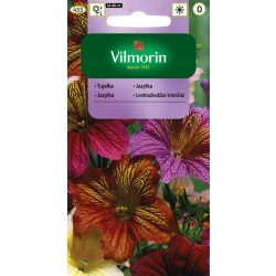 Tujałka Mieszanka nasiona kwiatów