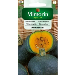 Dynia Sweet Mama F1 – nasiona dyni olbrzymiej