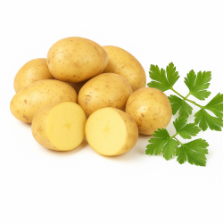 Ziemniaki Denar – świeże polskie prosto z gospodarstwa 1 kg